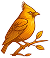 Cartoon orange bird on twig
